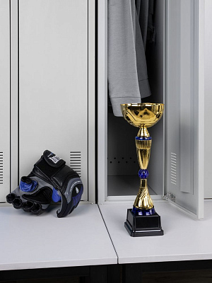 Кубок Awardee, средний, синий