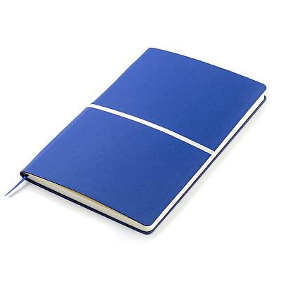 Ежедневник A5 недатированный Equator в мягком переплёте  с серебристым (Синий)