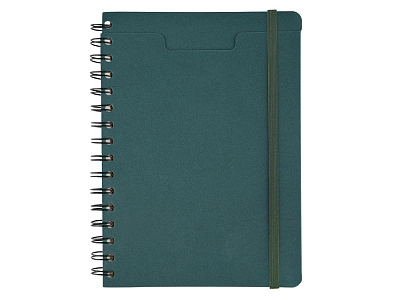 Ежедневник недатированный А5 Pragmatic