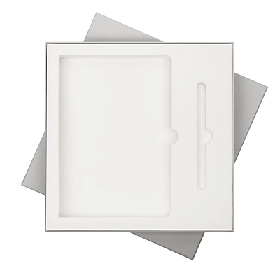 Подарочная коробка с ложементом для ежедневника и ручки, серая (Серый, бежевый)