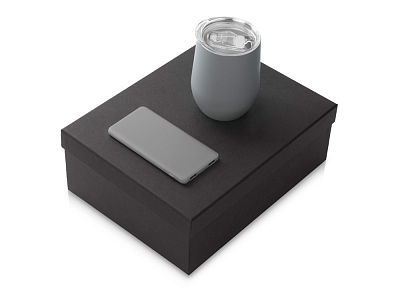 Подарочный набор COLOR IT с термокружкой и повербанком (Серый)