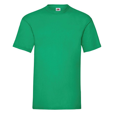 Футболка мужская VALUEWEIGHT T 165 (Зеленый)