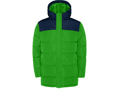 Куртка Tallin, мужская (Папоротниковый/синий нэйви)