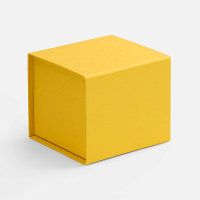 Коробка Alian, желтая (Желтый)