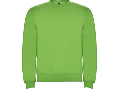 Свитшот с начесом Clasica унисекс (Зеленое яблоко)