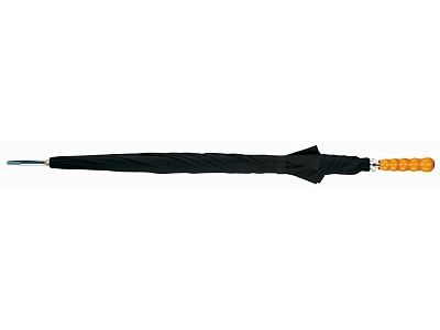 Зонт-трость Karl