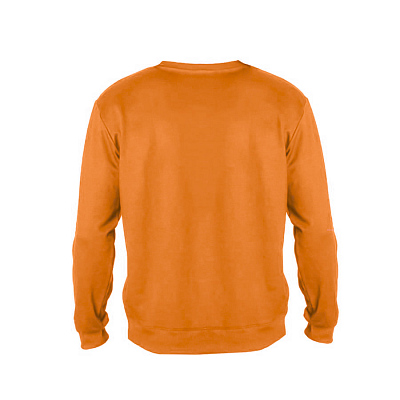 Толстовка свитшот унисекс ANTARES 260