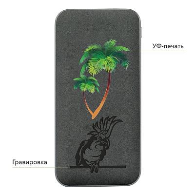Внешний аккумулятор Ин Велюр (In Velour) 10000 mAh, черный