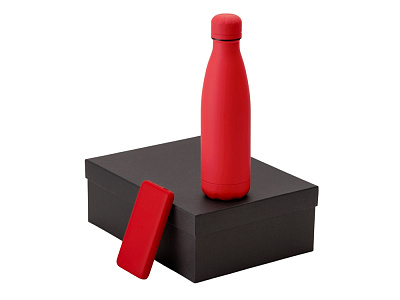 Подарочный набор COLOR IT с термобутылкой и повербанком (Красный)