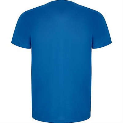 Спортивная футболка IMOLA мужская, КОРОЛЕВСКИЙ СИНИЙ 3XL