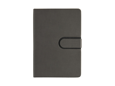 Ежедневник недатированный А5 Status