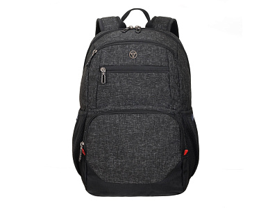 Рюкзак для ноутбука Xplor 15.6'' (Черный)