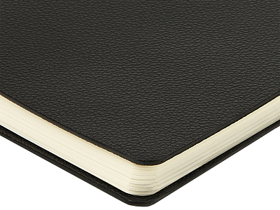 Ежедневник недатированный А5 Alba