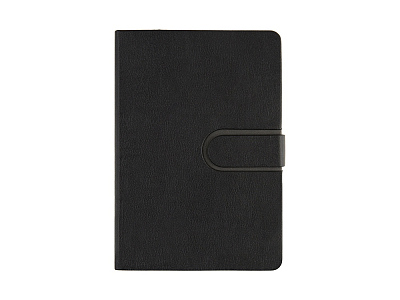 Ежедневник недатированный А5 Status