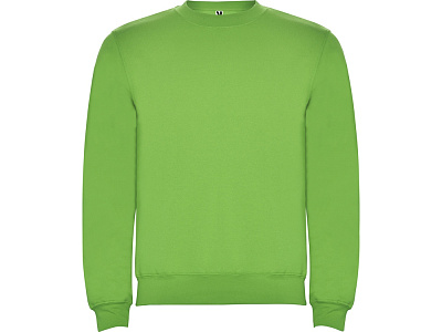Свитшот с начесом Clasica унисекс (Зеленое яблоко)