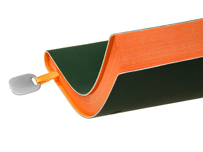 Ежедневник недатированный А5 Mercury