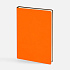 Оранжевый