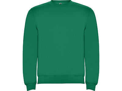 Свитшот с начесом Clasica детский (Зеленый)