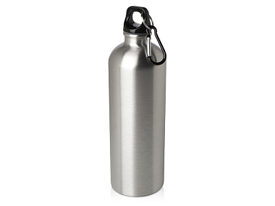 Одностенная бутылка для воды с карабином Oregon, 750 мл (Серебристый)