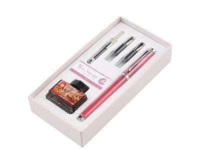 Набор WE-Share: ручка перьевая, сменные насадки, конвектор, чернила (Розовый прозрачный)