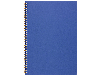 Бизнес-тетрадь А4 Pragmatic