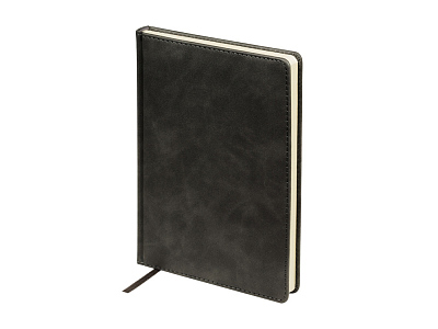 Ежедневник недатированный А5 Classic (Графитовый серый)