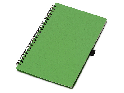 Блокнот А5 Toledo M с обложкой из пшеницы и пластика (Зеленый)