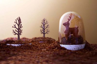 Ёмкости для специй в наборе Animal Parade