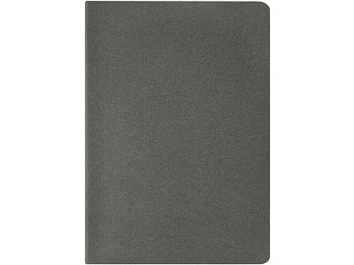 Бизнес-тетрадь А4 Pragmatic