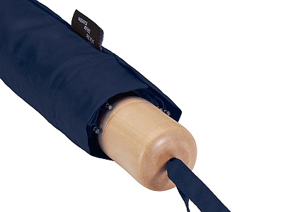 Зонт складной Дейн