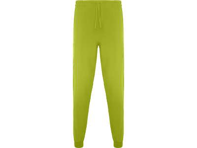 Брюки Fiber, унисекс (Фисташковый)