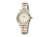Корпус- комбинированный (стальной/розовое золото), циферблат- белый, натуральный перламутр, крепление- стальной/желтое золото/розовое золото