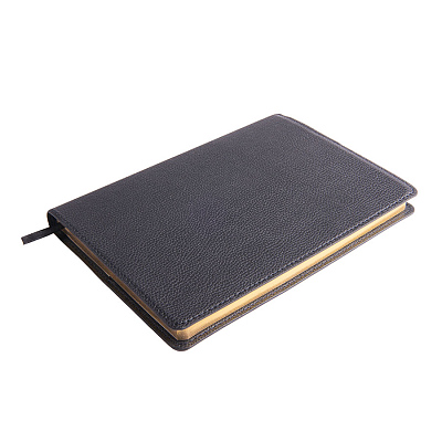 Ежедневник недатированный портфолио Mark, формат А5,  в линейку (Чёрный)