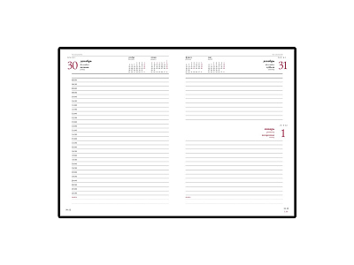 Ежедневник датированный А5 Ideal New на 2025 год