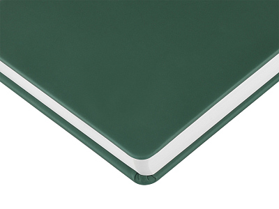 Ежедневник с каменной бумагой недатированный А5 Carrara