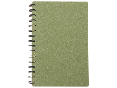 Блокнот А5 на спирали Mania