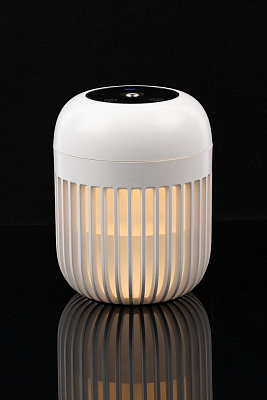 Переносной увлажнитель-ароматизатор с подсветкой PH11  (Белый)