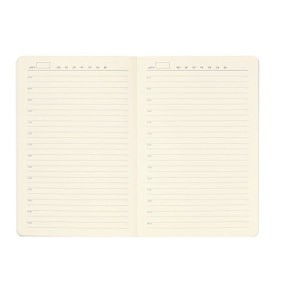 Ежедневник Арктик (Arctic) недатированный, белый/бирюзовый