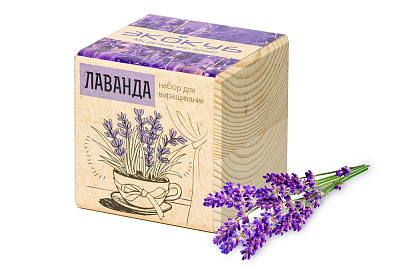 Набор для выращивания «Экокуб»  (Лаванда)