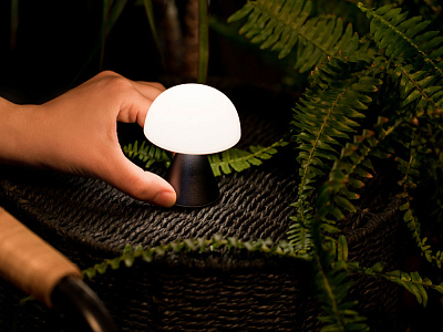 Лампа интерьерная Mina