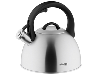 Чайник со свистком IRMA, 3 л (Стальной, черный)