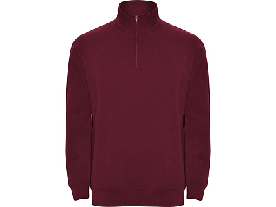 Свитшот Aneto мужской (Гранатовый)