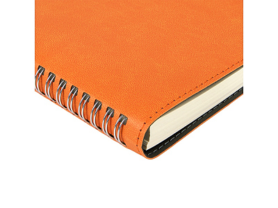 Ежедневник А5 Tintoretto