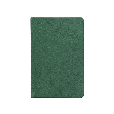 Ежедневник Daily Mini, недатированный, зеленый