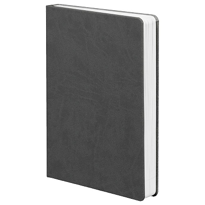 Ежедневник Basis, датированный, темно-серый (Серый)