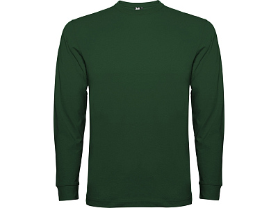 Футболка с длинным рукавом Pointer мужская (Бутылочный зеленый)