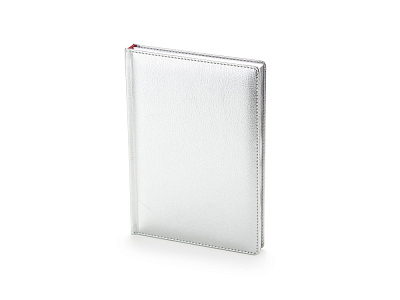 Ежедневник недатированный А5 Sidney Nebraska с серебряным срезом (Серебристый)