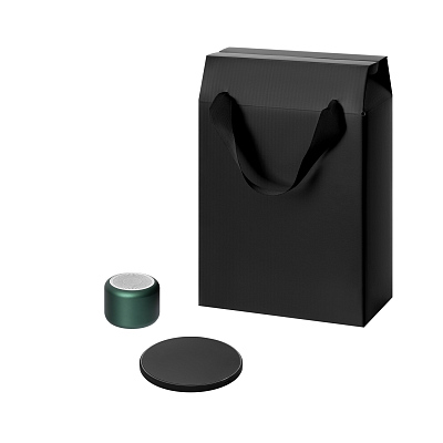 Подарочный набор Passion, Auris, зеленый (колонка, зарядное устройство) (Зеленый, черный)