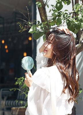 Портативный вентилятор Solove N9P, розовый