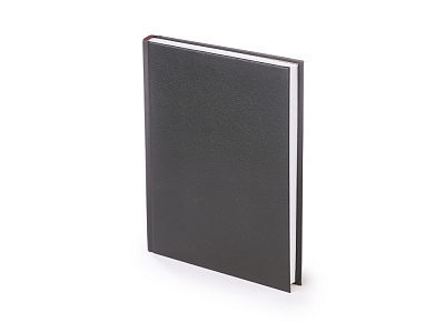 Ежедневник датированный А5 Ideal New на 2025 год (Чёрный)